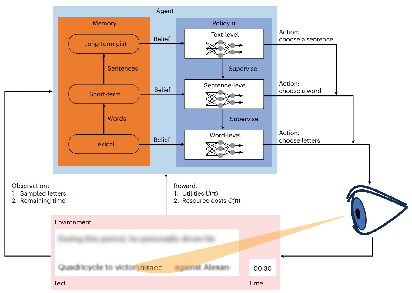 Figure from Hierarchical Resource Rationality Explains Human Reading Behavior